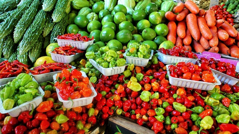 primeur-SIX FOURS LES PLAGES-min_farmers-market-1329008